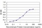 RPS6KB1 Antibody (monoclonal) (M03)